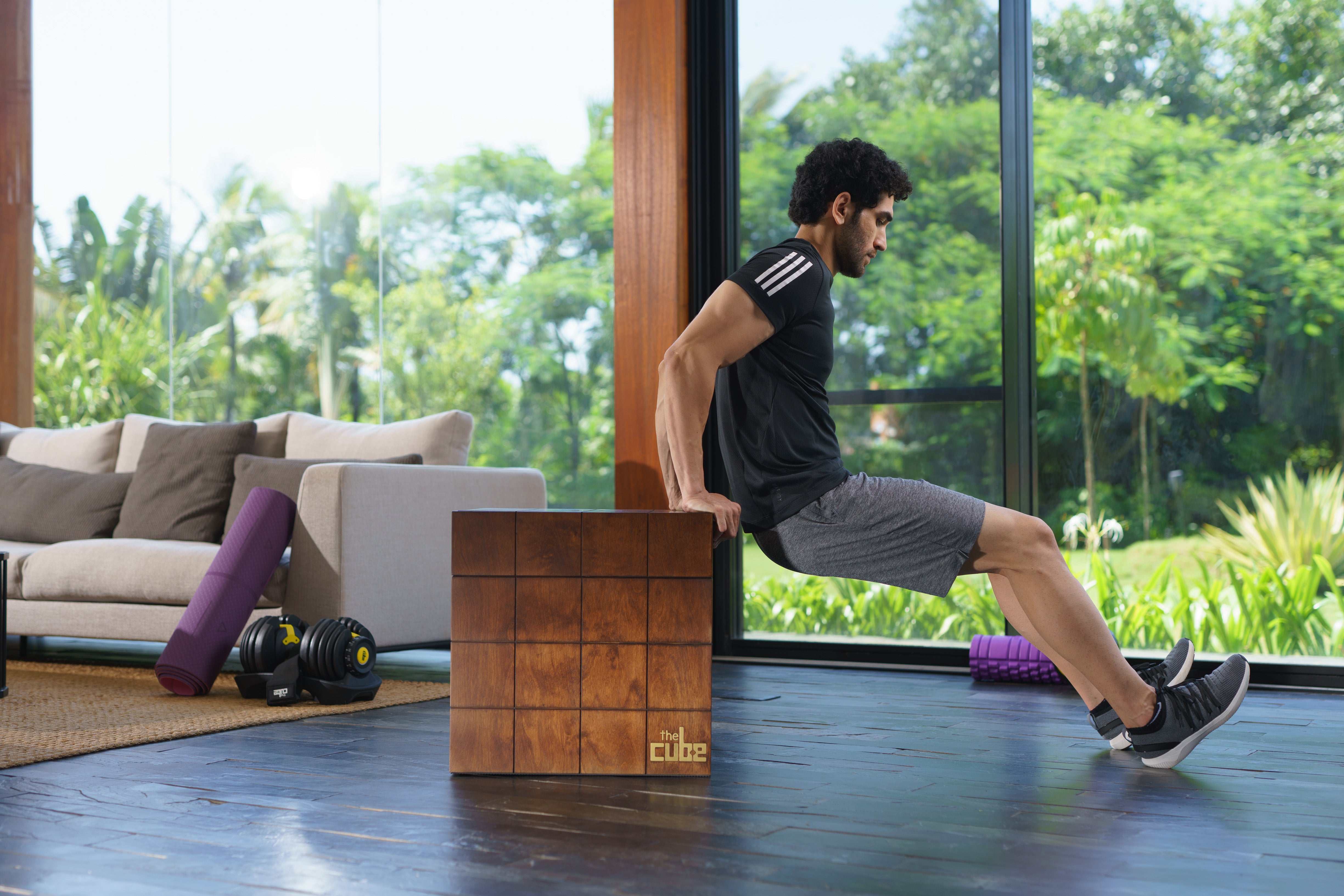 Triceps Exercises with Jump Box at Home