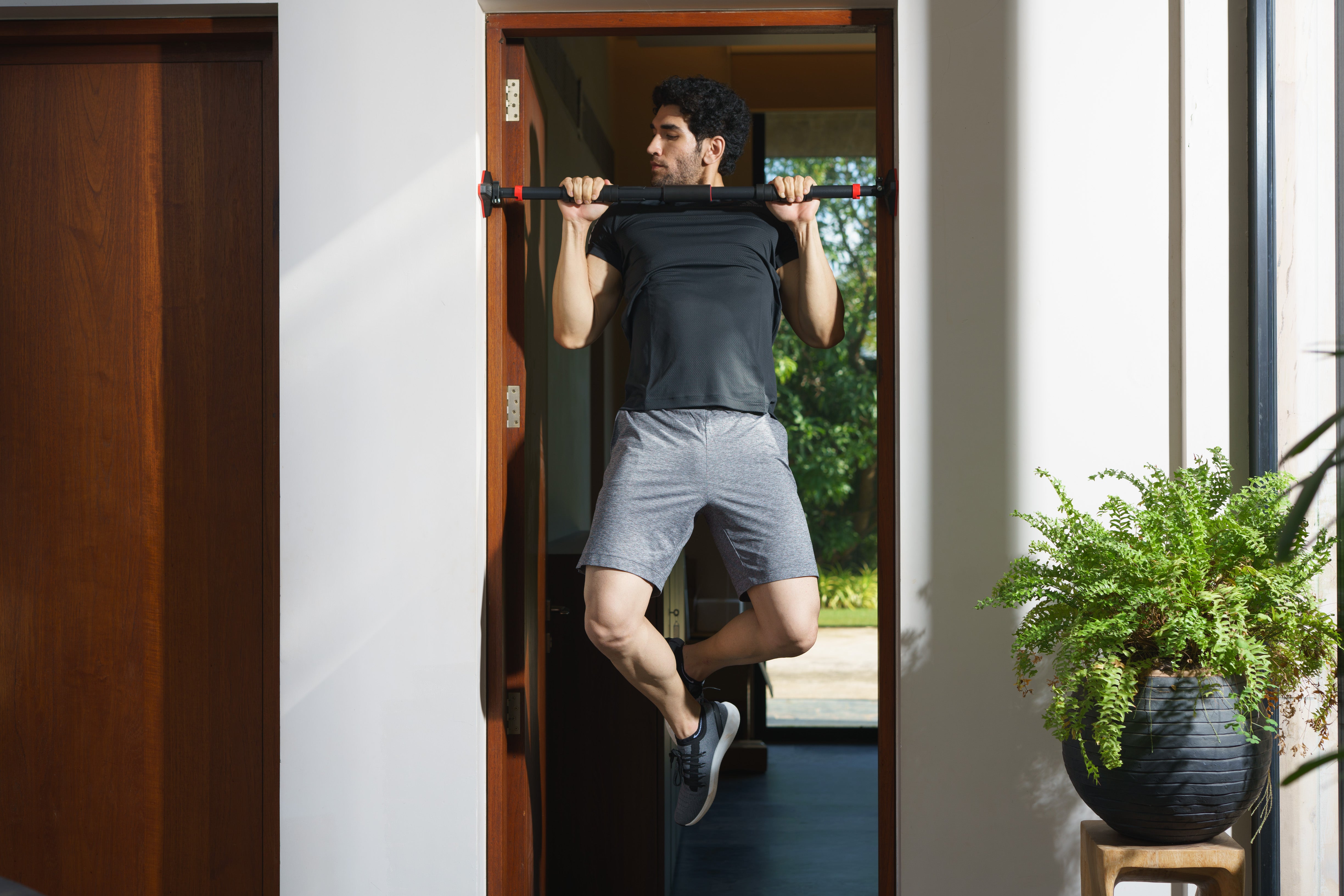 Are pull-up bars worth buying?