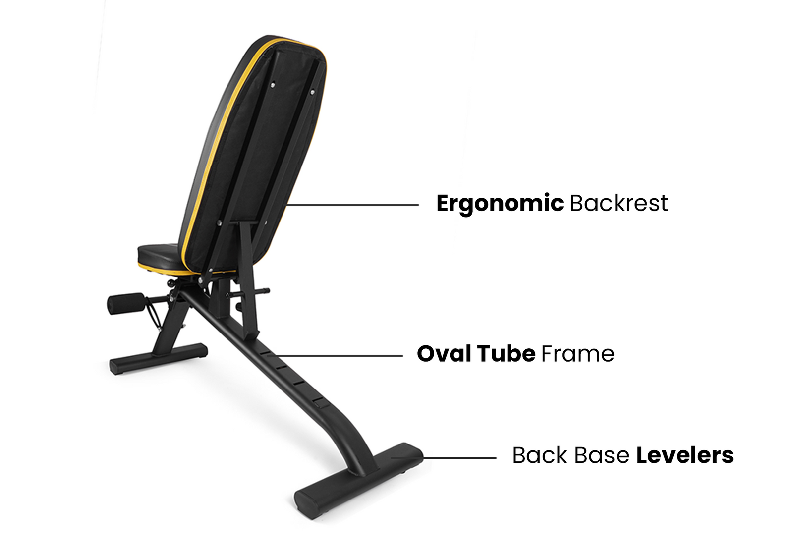 Adjustable Bench Premiere